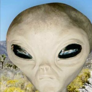 Meet your Posher, Miko